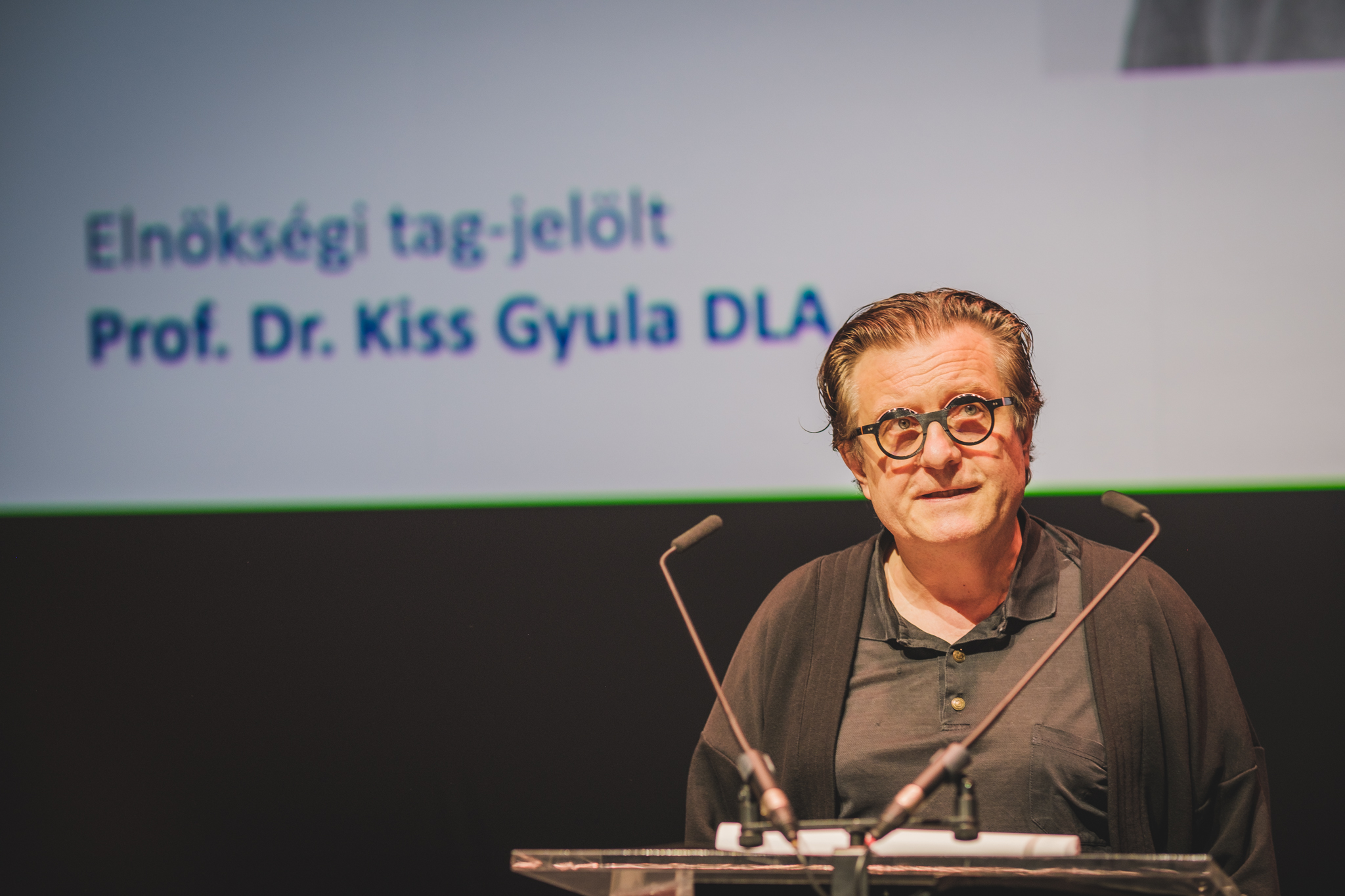 Prof. Kiss Gyula